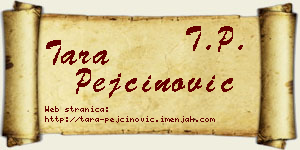 Tara Pejčinović vizit kartica